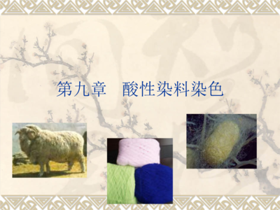 [工学]酸性染料