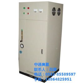 臭氧发生器 青岛中通臭氧 水产养殖水处理臭氧发生器