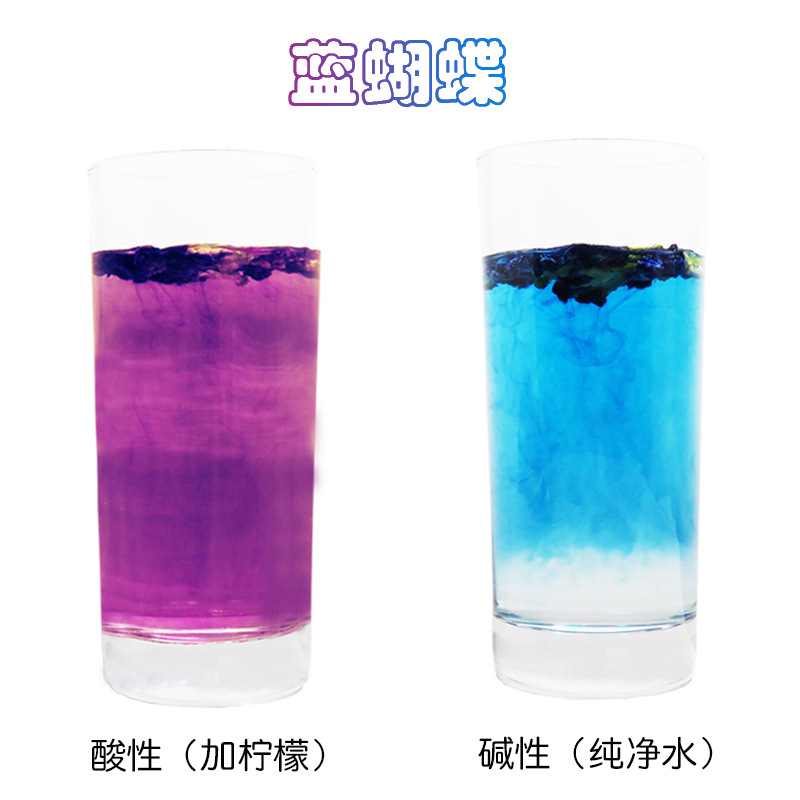 蝶豆花天然色素花茶梦幻饮料蓝色妖姬20克蓝蝴蝶 4份包邮